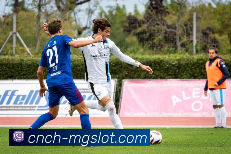 MG电子官网发展历程