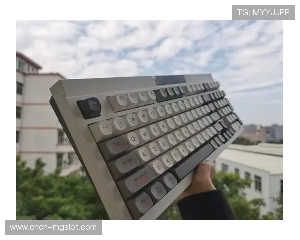 狼途L102游戏性能解析适合高端玩家吗 游戏体验如何